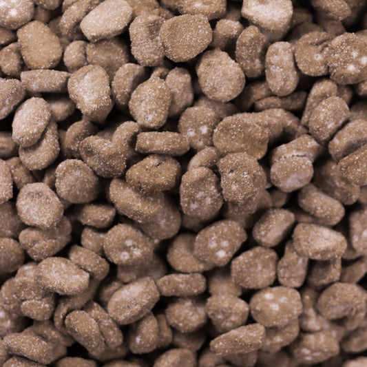 Licorice Skull Fizzy Foam Gummies