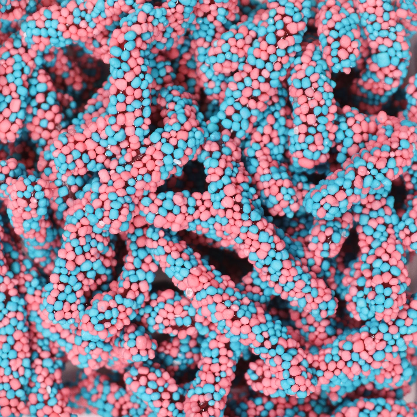 Geek Worms Blue & Pink